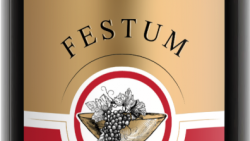 Bonacchi - Festum - Chianti DOCG Riserva 2011